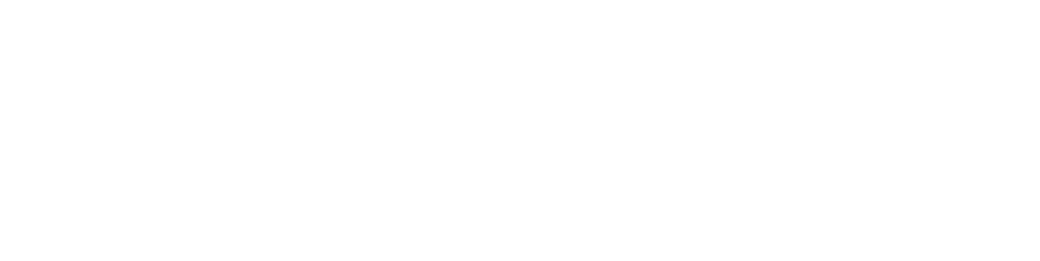 AudienceView logo - LockData is a integration partner for AudienceView ticketing platforms